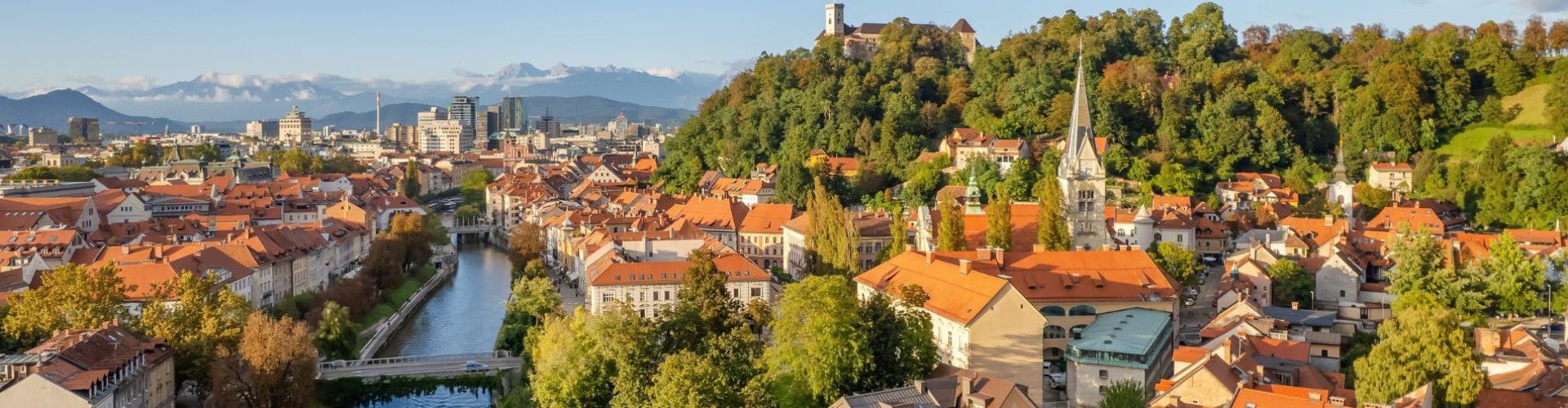 Dynamic Staffing Services