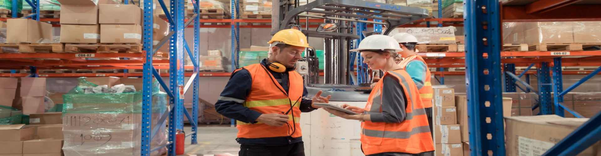 Need Logistics Workforce for the Czech Republic? Workforce Planning for Growing Businesses